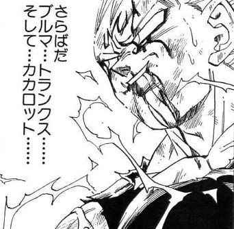 ベジータ2